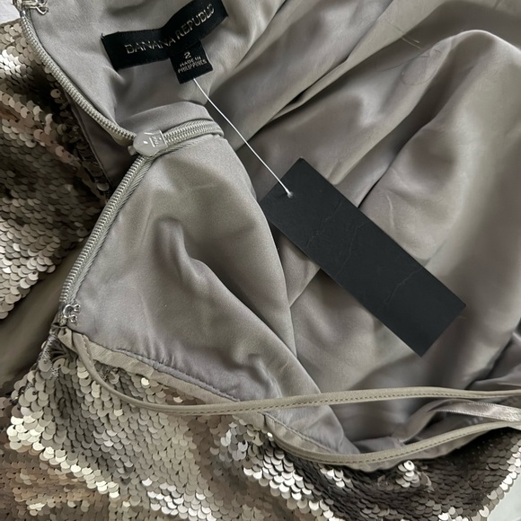 Banana Republic Shimmering Silver Mini Sequin Dress - Picture 8 of 13